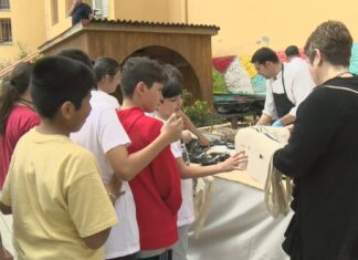 Os escolares do Grupo coñecen as bondades do lirio de Ribeira