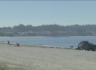 A Deputación da Coruña destina 900.000 euros á limpeza de praias en 41 concellos da provincia