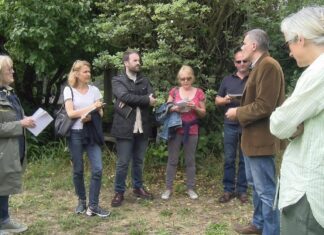 Seis prescritores do Reino Unido visitan a Denominación de Orixe Rías Baixas Seis prescritores do Reino Unido visitan a Denominación de Orixe Rías Baixas