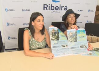 Ribeira homenaxeará ó colectivo dos taxistas co gallo do San Cristovo
