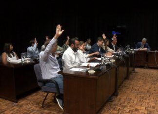 Os votos de PSOE e PP aproban no pleno de Pontevedra a reapertura parcial ao tráfico de Raíña Vitoria