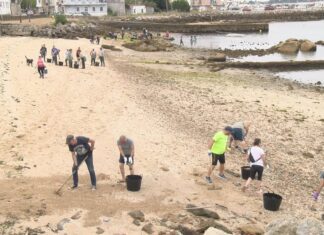 As mariscadoras a pé e a asociación veciñal de Vilaxoán colaboran para rexenerar a praia do Castelete As mariscadoras a pé e a asociación veciñal de Vilaxoán colaboran para rexenerar a praia do Castelete