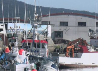 O peche da sardiña deixa sen apenas posibilidades de pesca a uns 150 cerqueiros galegos