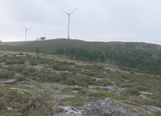 Aparecen nove cabalos abatidos a tiros nos montes da Curota