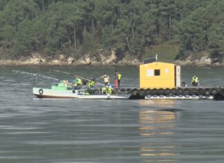 Os mariscadores de Noia iniciarán o 16 de outubro unha campaña que se prevé curta