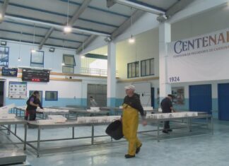 Os mariscadores de Aguiño depositan as súas esperanzas no percebe ante a escaseza de ameixa