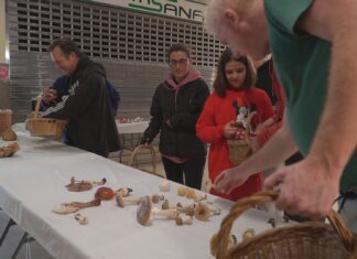 Un showcooking e os premios do concurso fotográfico clausuran as xornadas micolóxicas da Pobra