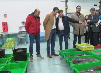 O Conselleiro do Mar recolle as necesidades do sector nunha visita á lonxa de Ribeira