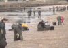 Situación crítica na ría de Arousa pola alta mortandade do berberecho e a ameixa