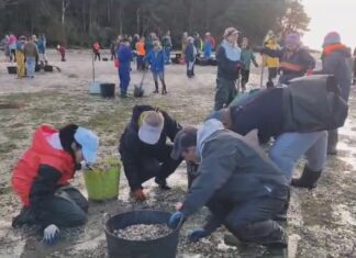 A Xunta demanda ante o ministro de Pesca a declaración de zona catastrófica para as rías