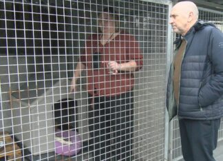 O concello da Pobra mellora o centro de recollida de animais