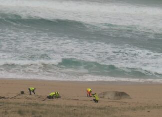 O concello de Ribeira encarga unha análise sobre a composición dos pellets de plástico