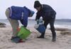 Grupos de voluntarios organízanse para retirar os pellets de plástico das praias