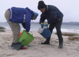 Grupos de voluntarios organízanse para retirar os pellets de plástico das praias