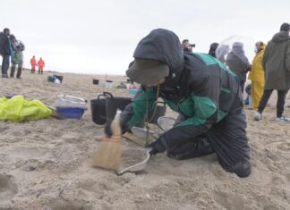 Máis dun cento de voluntarios participaron na recollida de pellets en Balieiros