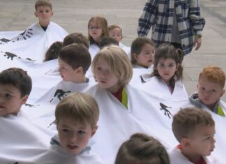 Actos festivos para reivincar un mundo sen guerras polo Día da Paz