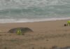 O concello de Ribeira convoca este sábado unha xornada de limpeza voluntaria nas praias