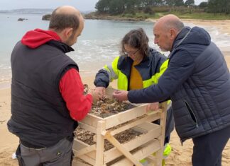 A Pobra idea un prototipo para optimizar a recollida de pellets