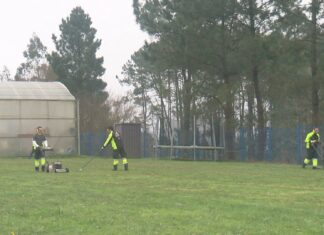 Iberdrola apoia a inserción laboral de mozos con discapacidade a través de AMICOS