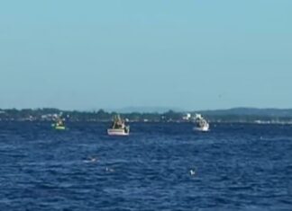 O xeito contará este ano con maior tope diario de sardiña por tripulante e barco