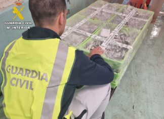 Comisan 149 quilos de sardiña no porto de Ribeira