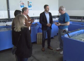 Mar e a cooperativa Ría de Arosa estudan a posta en marcha da hatchery da entidade