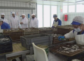 Conservas Cortizo investirá 8 millóns de euros na construción dunha nova factoría no polígono de Té