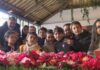 A rapazada de Vilagarcía presume de flor favorita: ‘Teño camelias na casa dos meus avós’