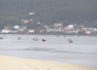 A mortaldade de cría condiciona tamén a futura campaña marisqueira en Noia