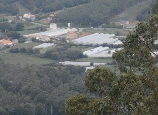 Os comuneiros galegos debaterán na Pobra sobre a futura Lei de Montes e a macrocelulosa de Altri