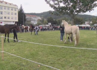 A tradición cabalar volveu encher Noia no día de San Marcos
