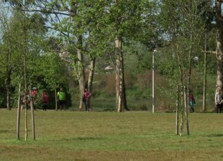 Pontevedra suma unha zona verde de máis de 17.000 metros cadrados na Xunqueira