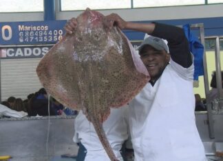 O Portonovo Gastronómico ofrece esta fin de semana infinitas formas de gozar da raia