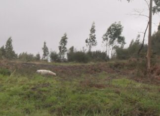 O PP de Ribeira esixe máis axilidade na tramitación do novo polígono