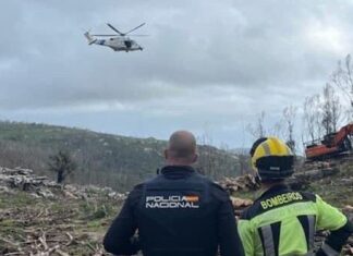 Morre un traballador en Ribeira ó quedar atrapado debaixo dun eucalipto