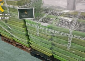 Comisados preto de 800 quilos de sardiña no porto de Ribeira