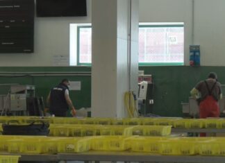 A falla de ingresos polo paro do marisqueo aboca ó ERTE a varias confrarías do Barbanza