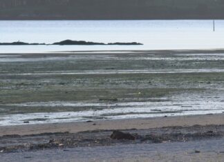 Pecha ó baño a praia da Torre por un vertido de fecais
