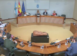 Acordo unánime no Parlamento para instar á Xunta ó fin da concesión da mina de San Finx