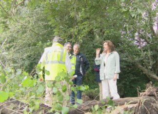 Augas de Galicia executa traballos de limpeza e conservación no río de Artes