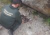 Atopan varios artefactos explosivos da Guerra Civil nun rocho en Noia