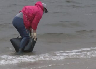 A confraría de Rianxo considera discriminatoria a orde de axudas para as mariscadoras a pé