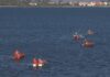 A campaña do libre marisqueo en Arousa comeza o 1 de outubro con topes moi baixas
