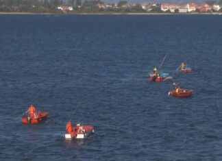 A campaña do libre marisqueo en Arousa comeza o 1 de outubro con topes moi baixas