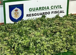 Investigan a un noiés por unha plantación de marihuana