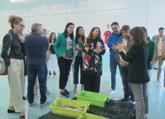 A presidenta da Comisión Europea de Pesca recolle as demandas do sector na lonxa de Ribeira