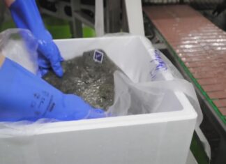 A factoría de Stolt Sea Farm de Rianxo creará 175 postos de traballo