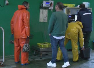 Mal inicio do libre marisqueo en Arousa, especialmente nos Lombos do Ulla