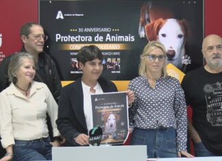 Música para festexar os 30 anos de solidariedade da Protectora de Animais de Vilagarcía