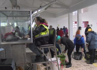Volta á actividade marisqueira na ría de Noia despois do parón obrigado pola toxina